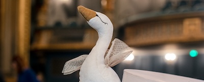 Cygne de la petite école de danse Moulin Roty